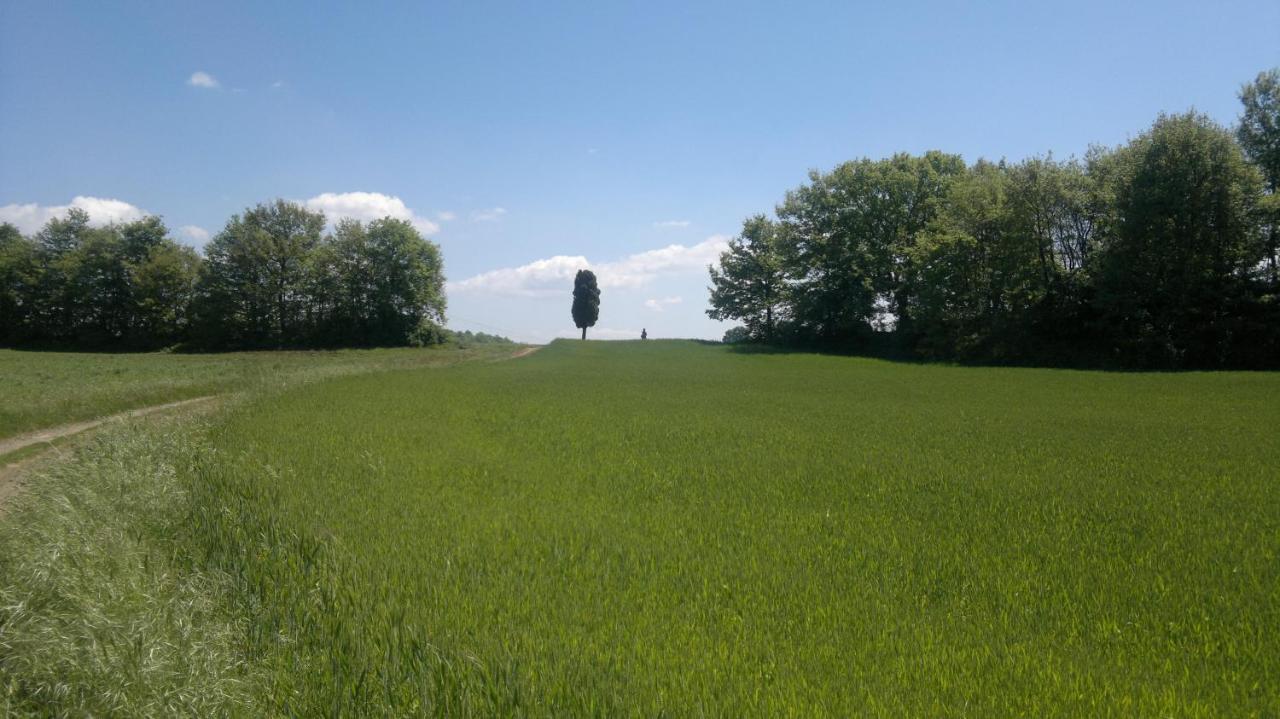Appartamento Miralago Bolsena Eksteriør bilde