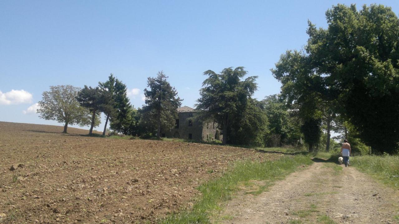 Appartamento Miralago Bolsena Eksteriør bilde